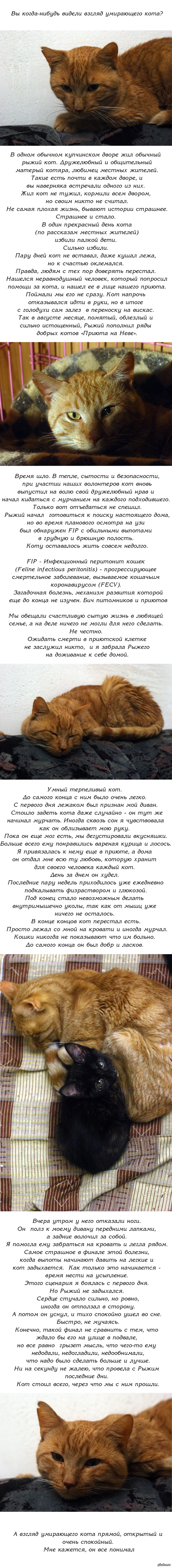 Адрес кракен в тор
