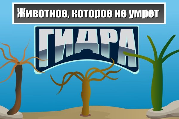 Кракен даркнет актуальная ссылка