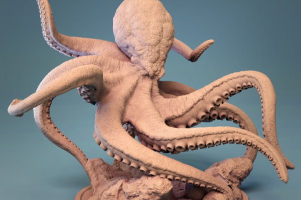Kraken 12at