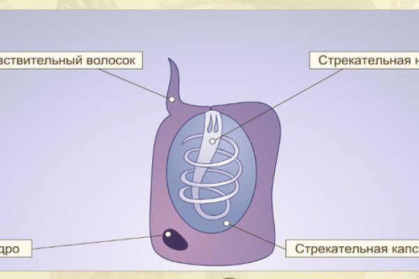 Кракен даркнет зеркало пв