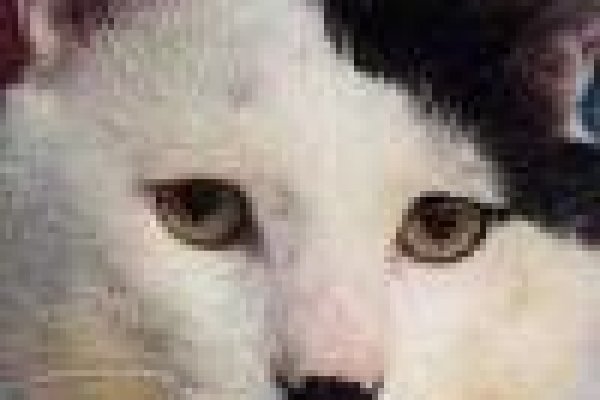 Кракен продажа наркотиков