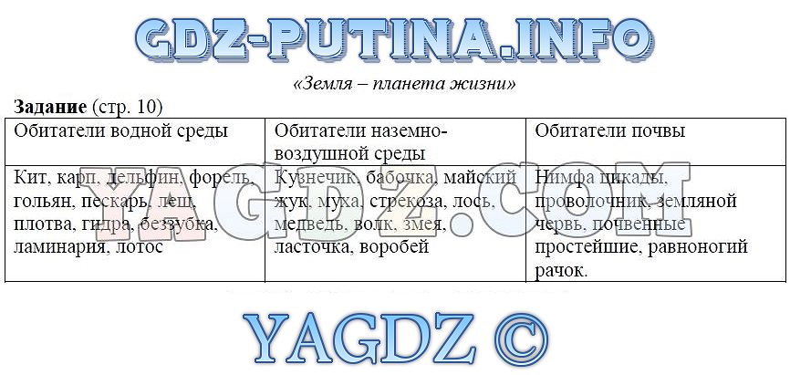 Кракен бошки