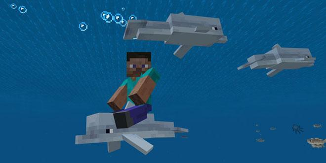 Ездовые Дельфины - Мод/Аддон Minecraft PE